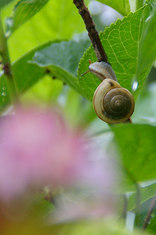 e0045768_21561258.jpg