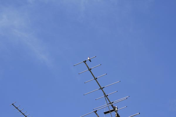 e0164571_1541396.jpg
