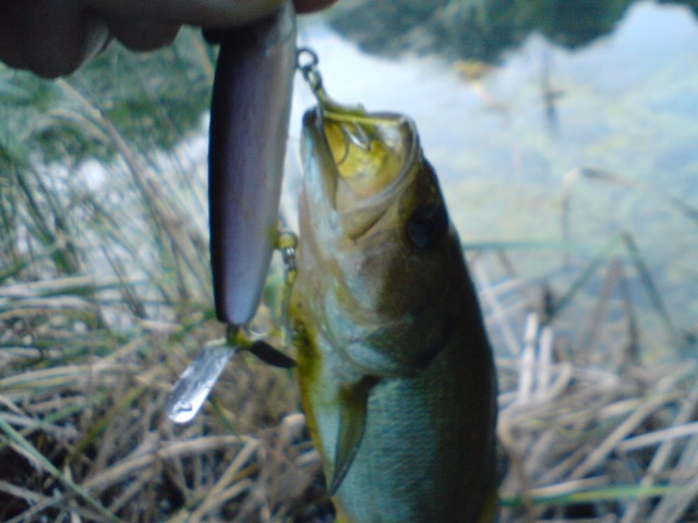 a0040876_2118409.jpg