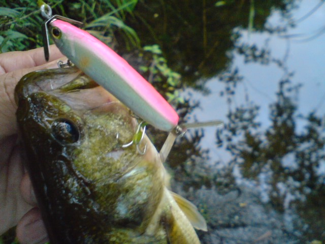 a0040876_21185655.jpg