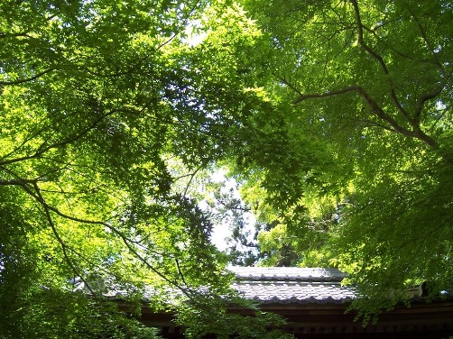 c0198781_1243423.jpg
