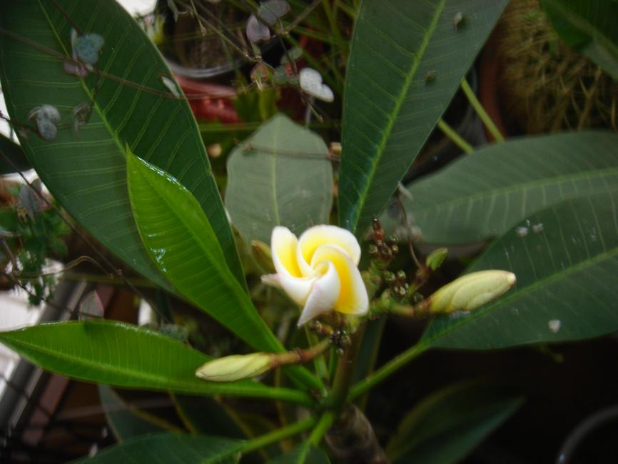 f0138588_11283175.jpg