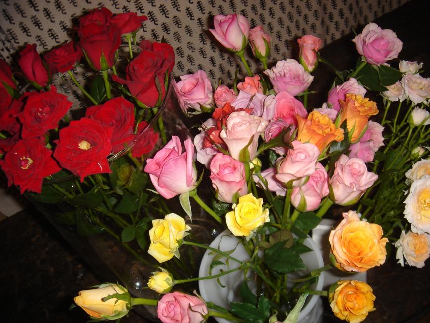 f0138588_1130142.jpg