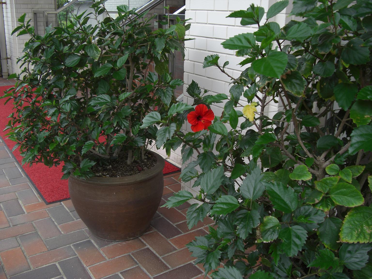 f0131491_16341721.jpg