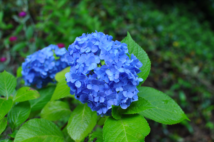 b0143293_21513658.jpg