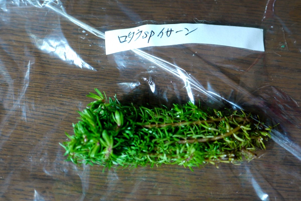 c0225297_625114.jpg