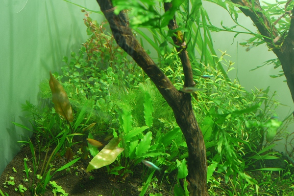 c0225297_6305158.jpg