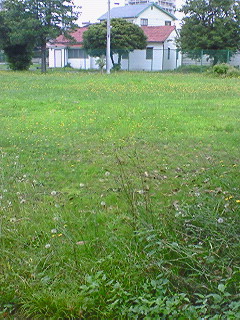 a0065800_11301833.jpg