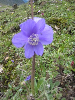 e0033301_162550.jpg