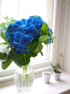 b0183002_11451458.jpg
