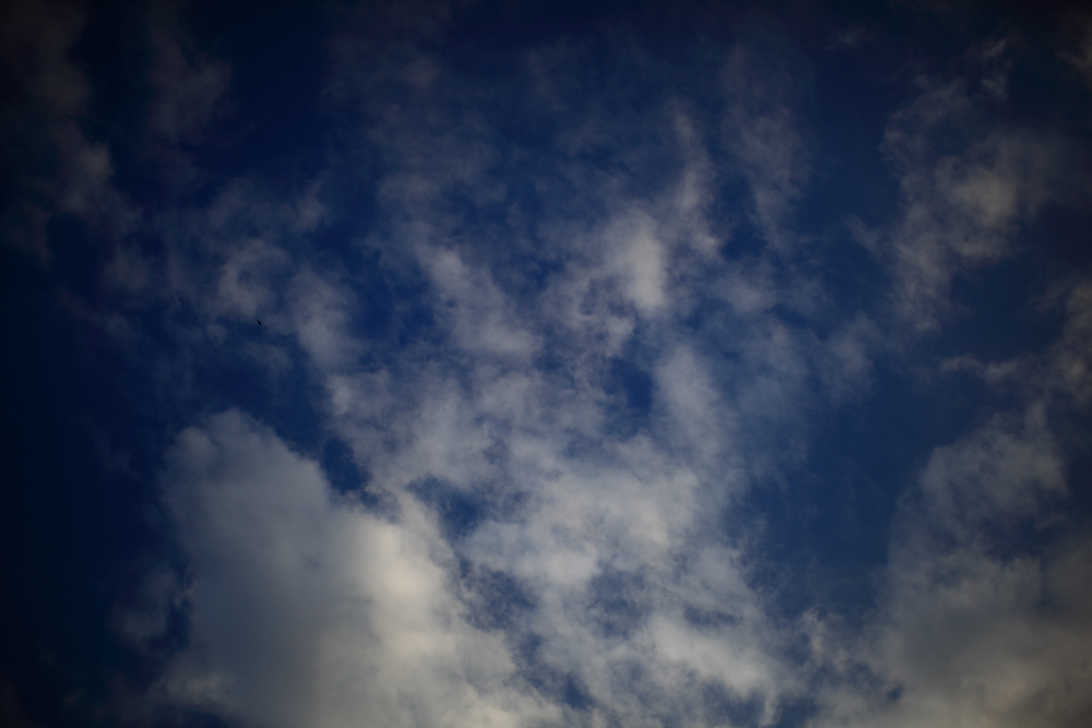 a0155104_22423730.jpg