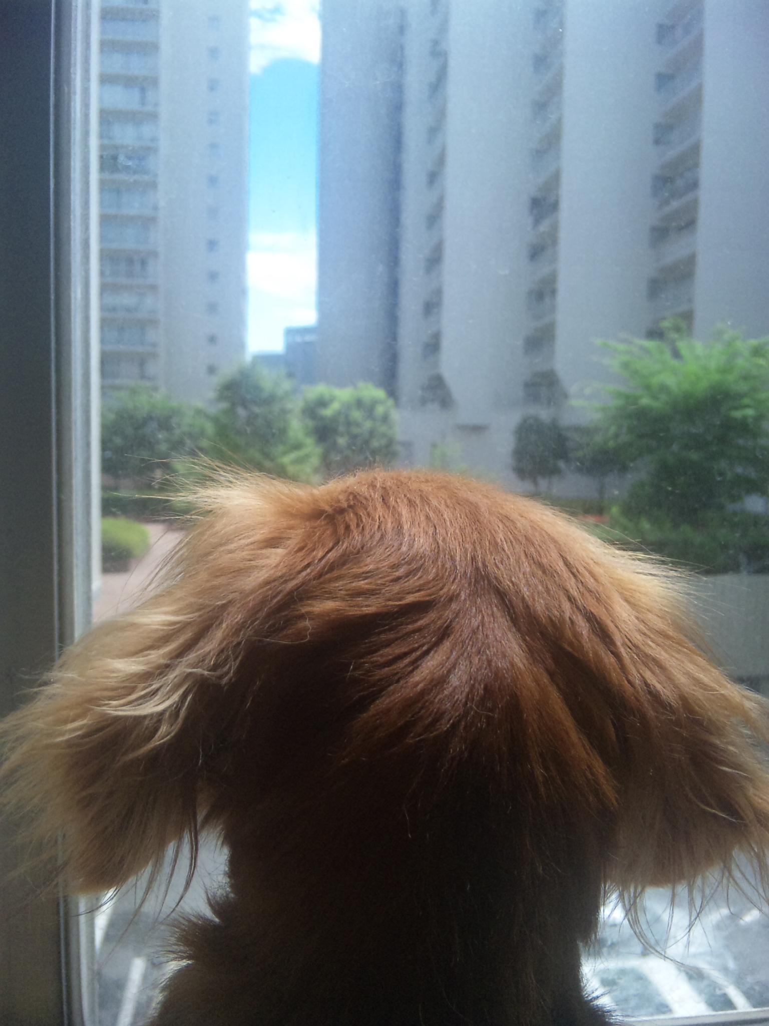 e0179308_1448368.jpg