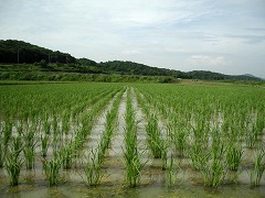 c0190010_17305346.jpg