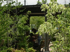 c0190010_17412412.jpg