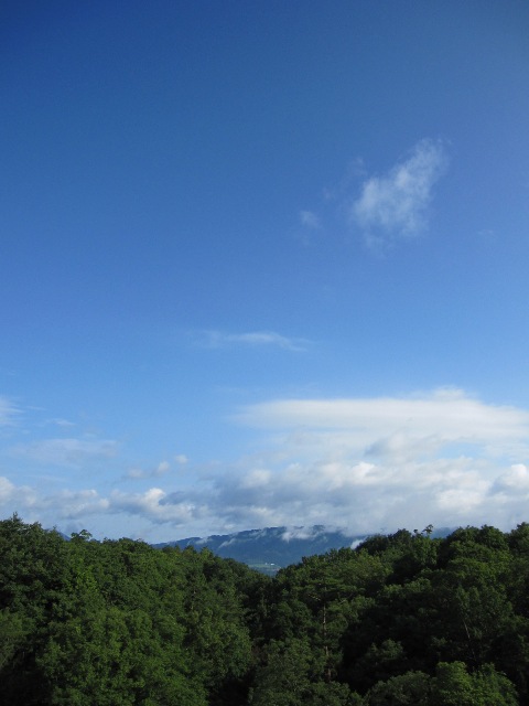 d0081210_14213981.jpg
