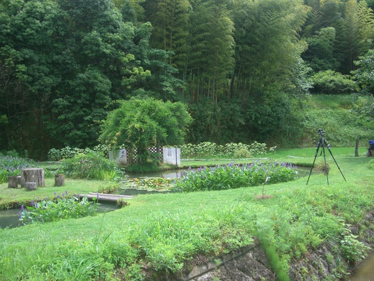 d0007913_20134267.jpg