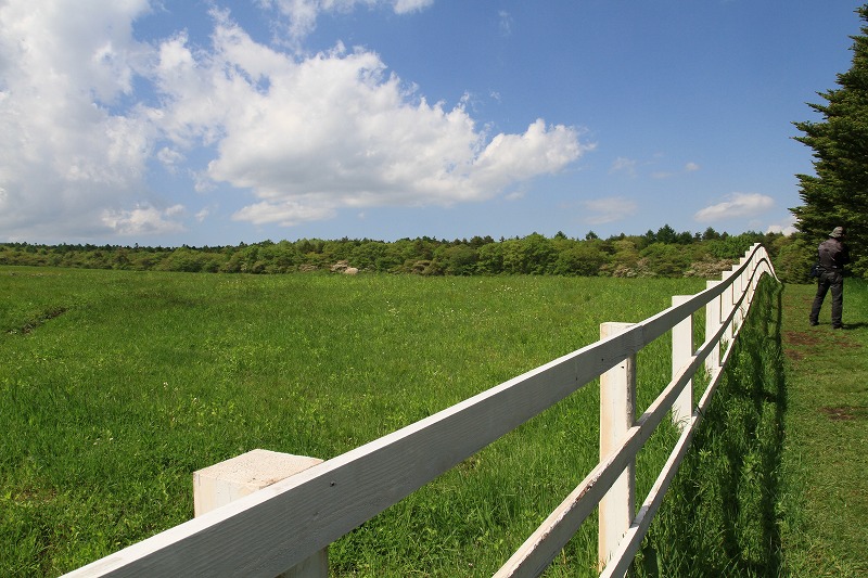 a0125122_2048571.jpg