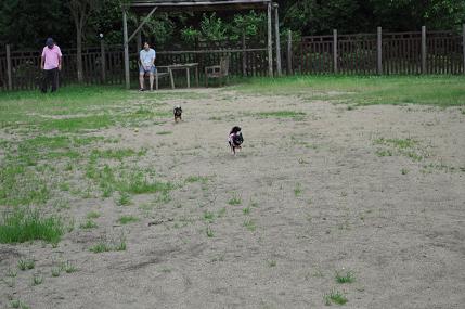 c0192724_0125650.jpg