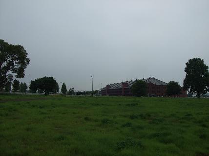 b0046527_016828.jpg