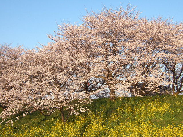 e0064133_048187.jpg
