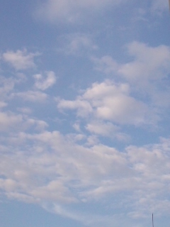 e0059834_2022681.jpg