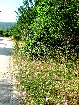 f0234936_22322890.jpg