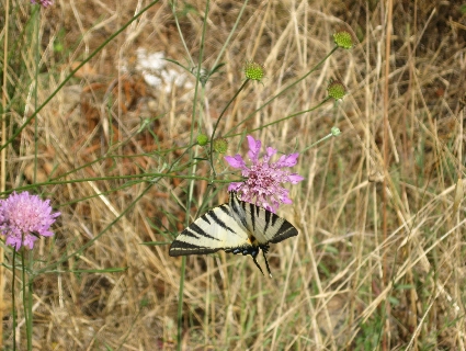 f0234936_22353915.jpg