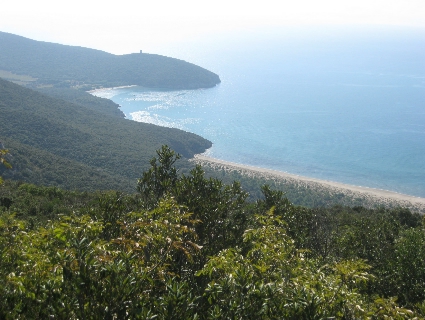 f0234936_2235973.jpg