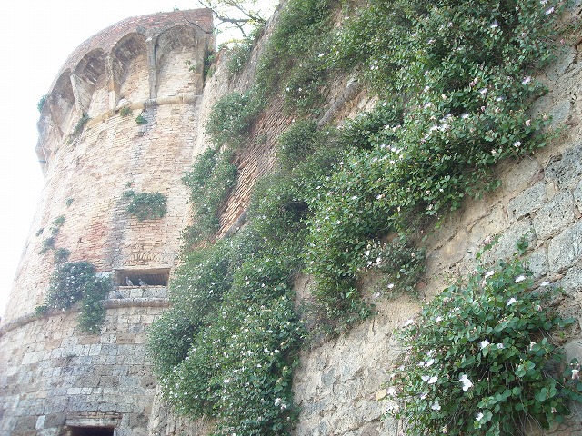 d0092439_21265847.jpg