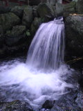 f0214139_19561915.jpg