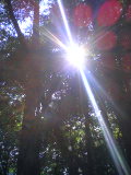 f0214139_19561985.jpg
