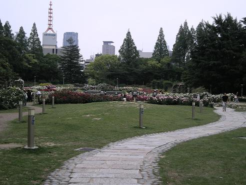 e0149040_1540275.jpg