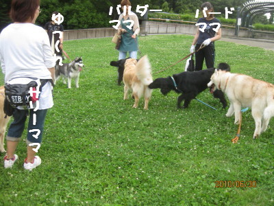 e0121548_2152996.jpg
