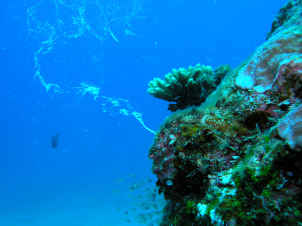 b0062363_101357.jpg