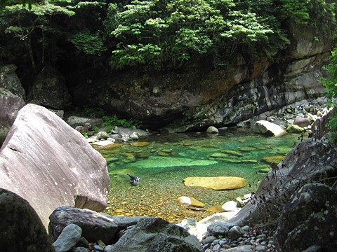 c0123363_20161154.jpg