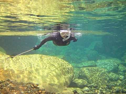 c0123363_20164431.jpg
