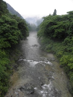 d0134473_1546373.jpg