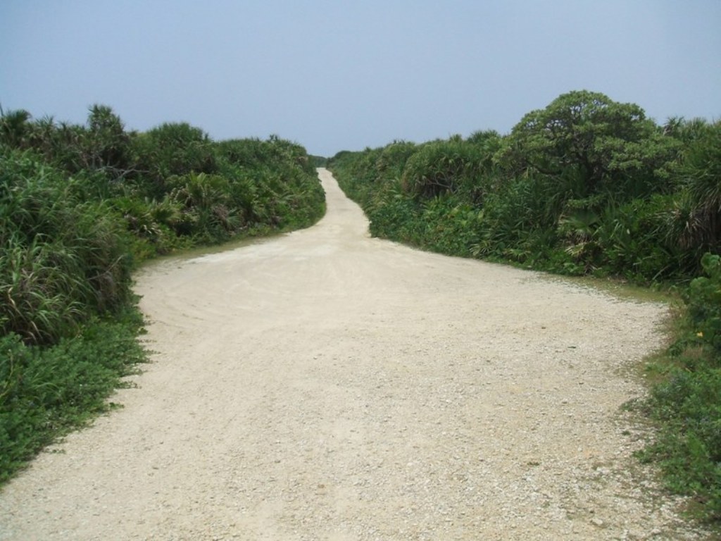 f0238779_7332551.jpg