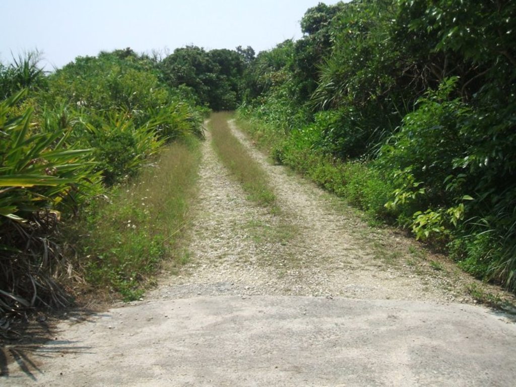 f0238779_733297.jpg