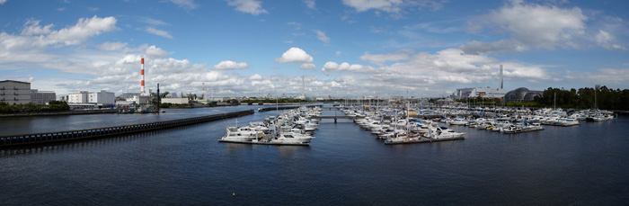 d0089281_19474589.jpg