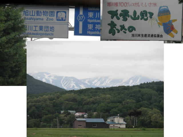 e0069481_2240386.jpg