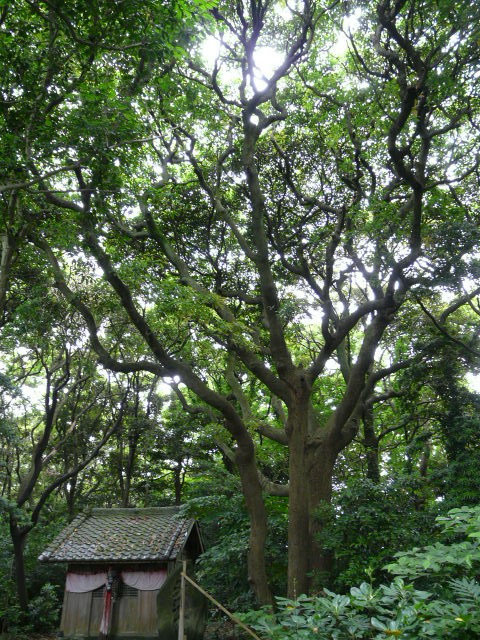 e0145782_15172772.jpg