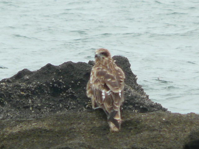 e0145782_15191391.jpg