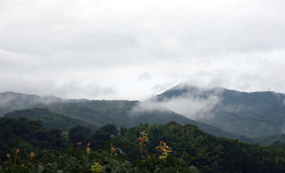 c0125283_13163920.jpg