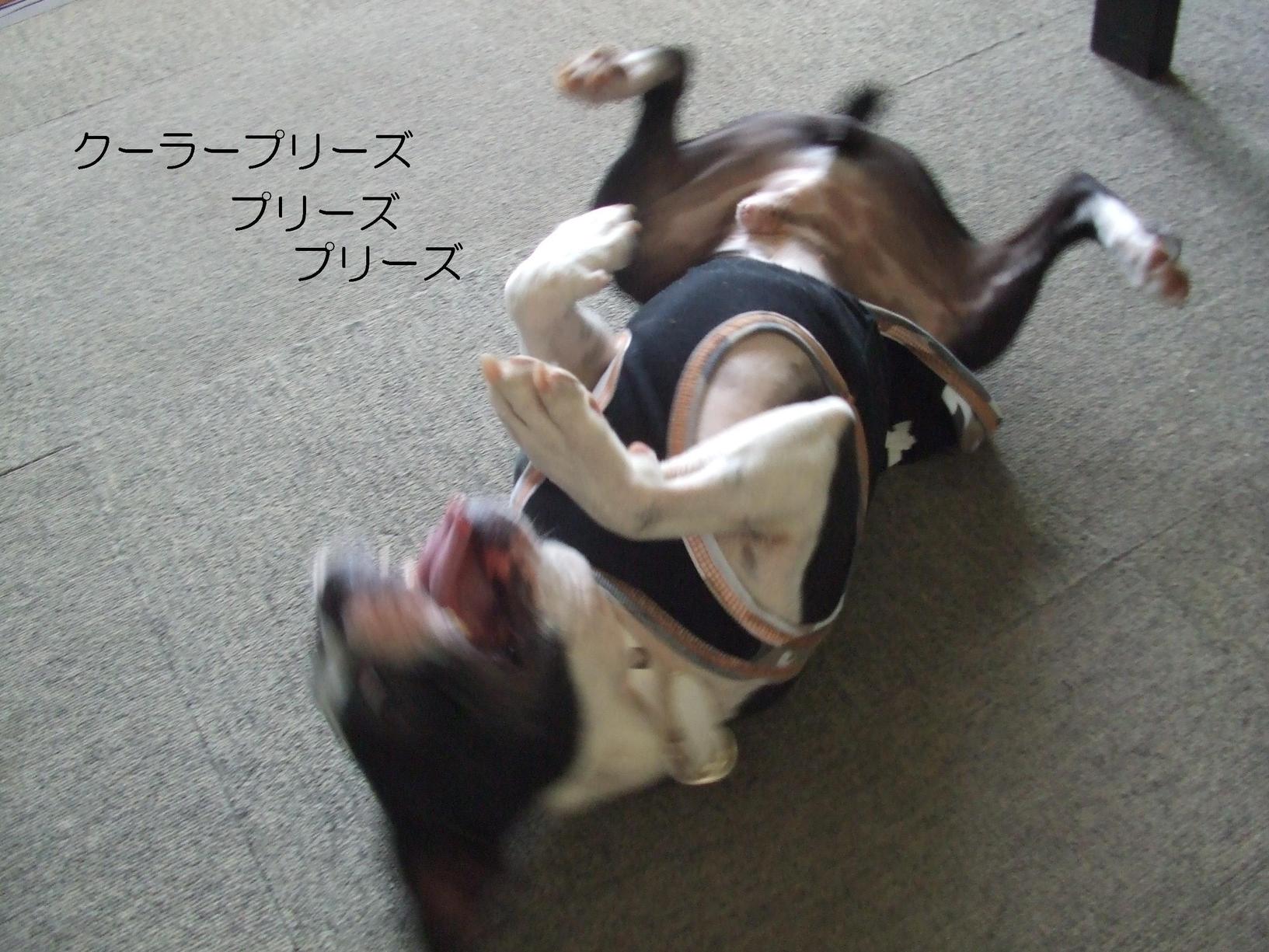 c0092787_1625180.jpg