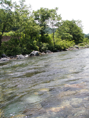b0178889_0555333.jpg