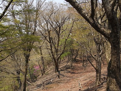 f0187402_21444655.jpg