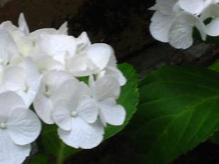 c0098807_23562171.jpg