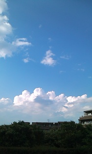c0140616_1714323.jpg