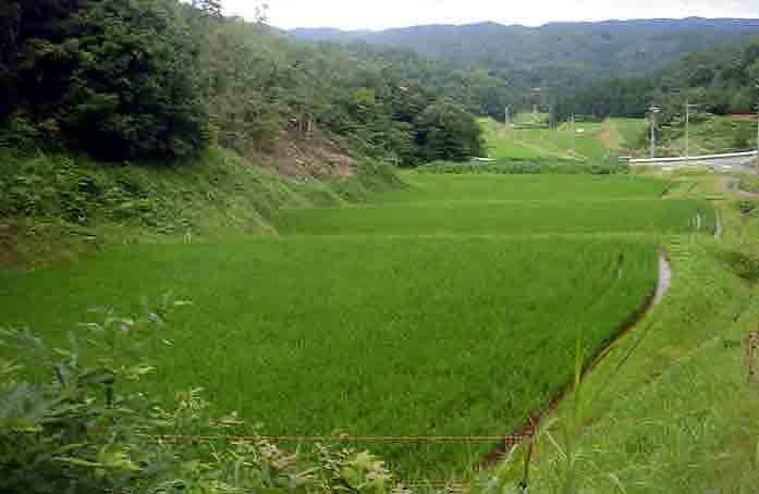 e0083820_2320058.jpg